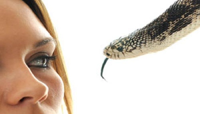 Những lưu ý khi gặp giấc mơ thấy rắn